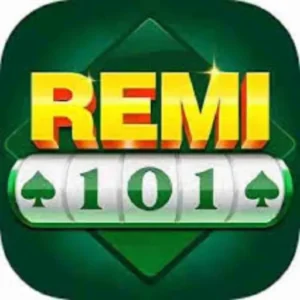 remi 101